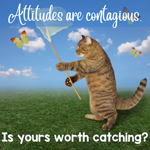 Attitudes are contagious. Is yours worth catching?