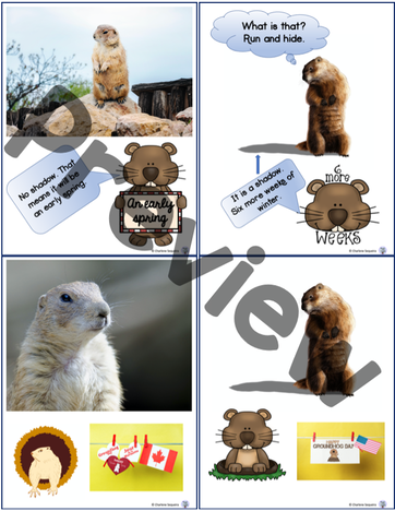 preview page from groundhog product