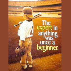 poster about beginner to expert