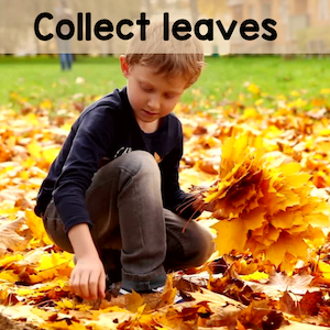 boy collecting leaves