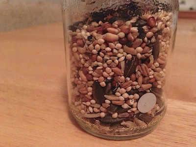 jar with small items and bird seed in it