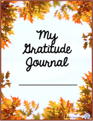 my gratitude journal