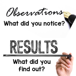 Observations What did you notice? Results What did you find out?