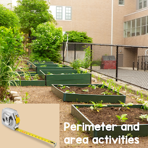 perimeter and area activities