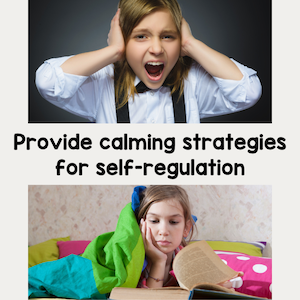 Provide calming strategies for self-regulation