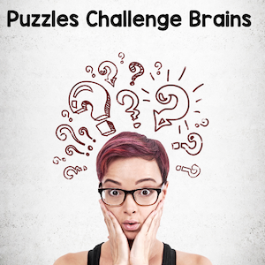 puzzles challenge brains