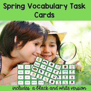 Spring Vocabulary Task Cards Activities For Spring