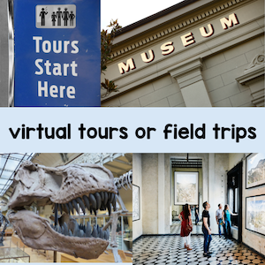 virtual tours or field trips