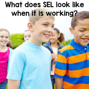 What does SEL look like when it is working?