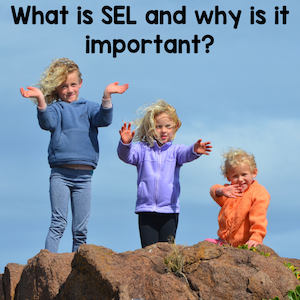 What is SEL and why is it important?