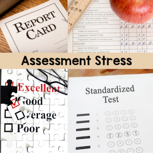 Assessment stress