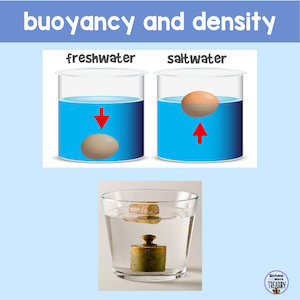 buoyancy and density fresh water and salt water with egg and water with metal weight in it.