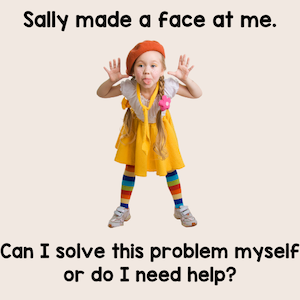 Sally made a face at me. Can I solve this problem myself or do I need help?