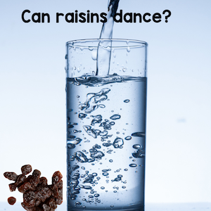 Can raisins dance?