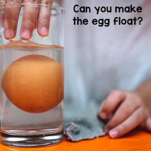 Can you make the egg float?