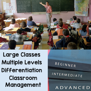 teacher challenges with large classes, multiple levels, differentiation, and classroom management