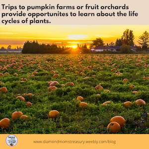 Field trips to farms and orchards to learn about plant life cycles