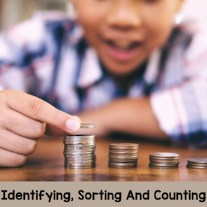 Identifying, sorting, and counting