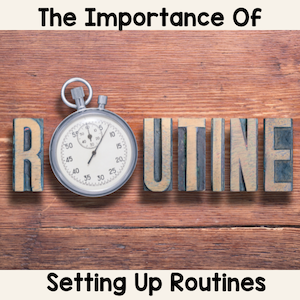 The importance of setting up routines.