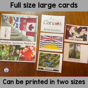 Full size large cards