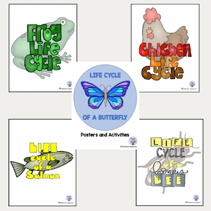 Life cycle resources