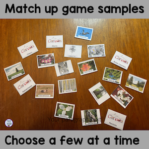 match up game samples choose a few at a time