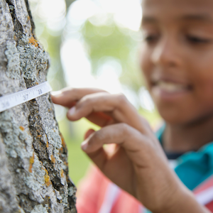 boy measuring tree