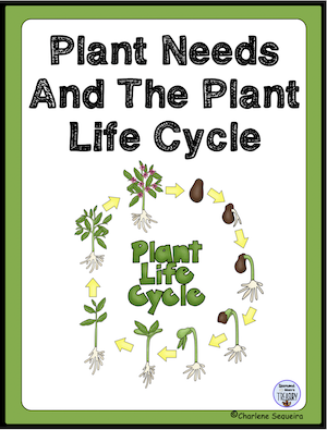 plant needs and the plant life cycle