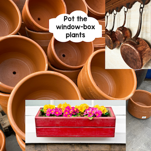 flower pots, pots, and a window box of flowers