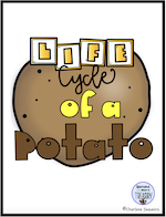 life cycle of a potato