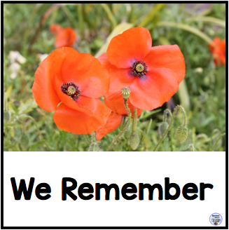 November 11 We Remember