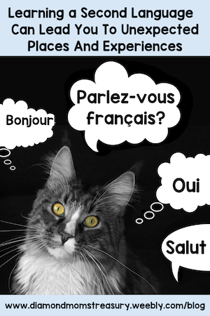 Learning in French could lead to surprising things