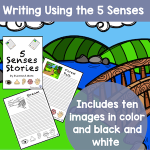 Writing using the 5 senses